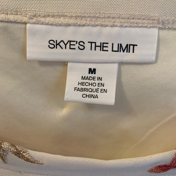 Skye’s The Limit Embroidered Sheer Blouse Medium Romantic Floral Top - Picture 3 of 6